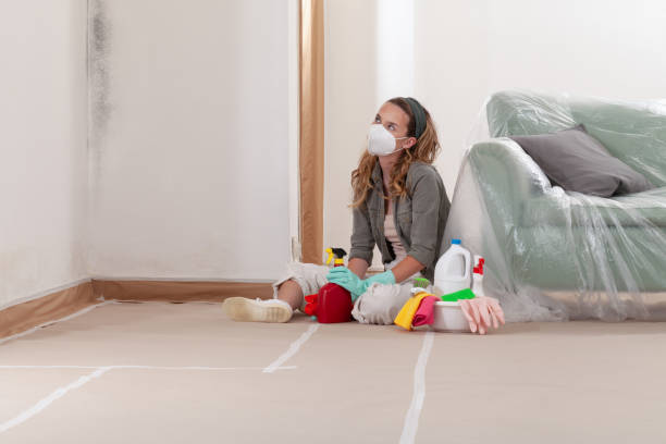 Reliable Mold Remediation contractor in Longwood, FL by WQB Mold Removal